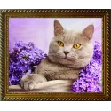 Kit de peinture diamant Chat dans le lilas 40х30 cm AZ-1417