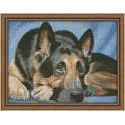 Diamond painting kit Sheepdog 40х30 cm AZ-1418
