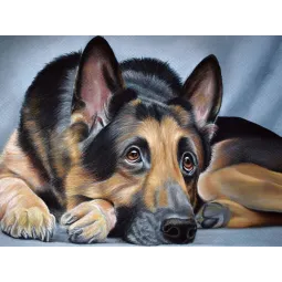 Kit de peinture diamant Berger allemand 40х30 cm AZ-1418