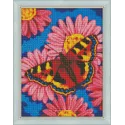 (Eingestellt) Diamant-Malerei-Set Schmetterling Größe: 40 x 30 cm AZ-1360