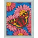 (Discontinué) Kit de peinture diamant papillon Taille : 40x30cm AZ-1360