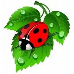 Diamond painting kit Ladybug 20x20 cm AZ-1115