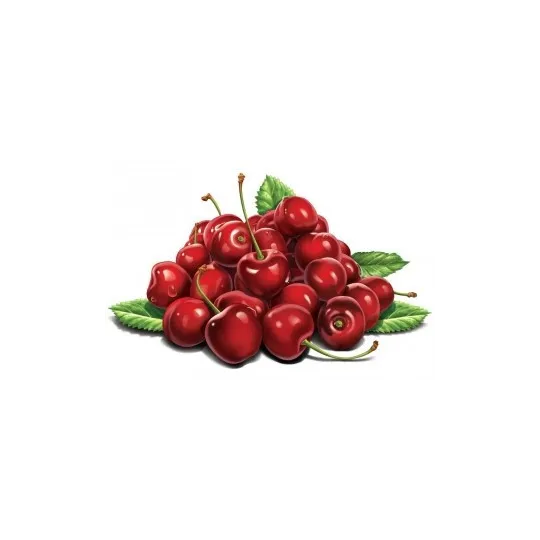 (Produit abandonné) Kit de peinture diamant Cerises 30х20 cm AZ-1116