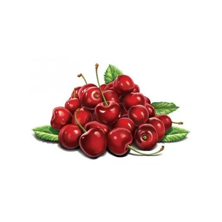 (Produit abandonné) Kit de peinture diamant Cerises 30х20 cm AZ-1116