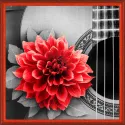 Fleur et Guitare 25x25 cm AZ-1772