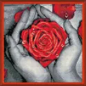 Rose in Hands 25x25 cm AZ-1775