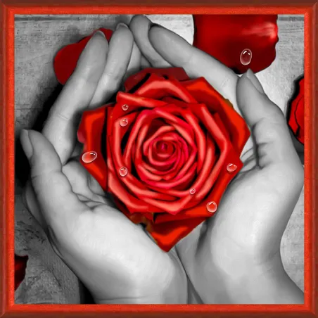 Rose in Hands 25x25 cm AZ-1775