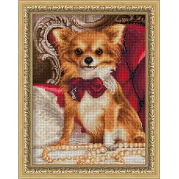 Chihuahua avec nœud papillon 30x40 cm AZ-1779