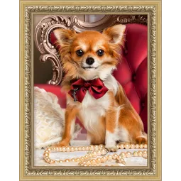 Chihuahua with Bow Tie 30x40 cm AZ-1779
