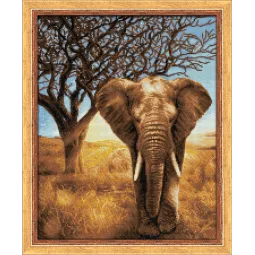 Éléphant d'Afrique 40x50 cm AZ-1783