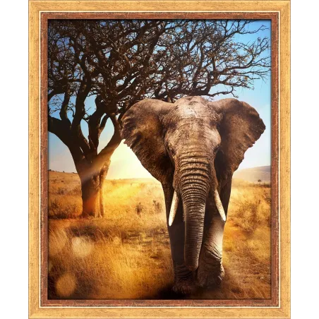 African Elephant 40x50 cm AZ-1783