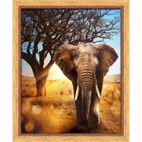 Éléphant d'Afrique 40x50 cm AZ-1783