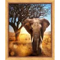 Afrikanischer Elefant 40x50 cm AZ-1783