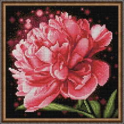 Švytintis bijūnas 25x25 cm AZ-1784
