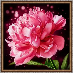 Švytintis bijūnas 25x25 cm AZ-1784