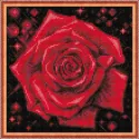 Funkelnde Rose 25x25 cm AZ-1785
