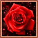 Rose scintillante 25x25 cm AZ-1785
