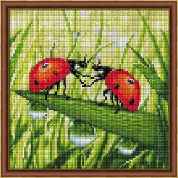 Couple de Coccinelles 25x25 cm AZ-1787