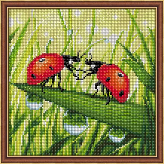 Ladybug Couple 25x25 cm AZ-1787