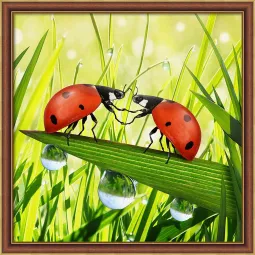 Couple de Coccinelles 25x25 cm AZ-1787