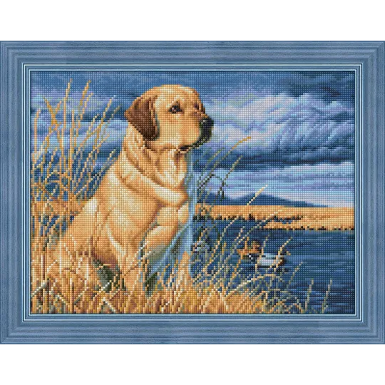 Labrador auf der Jagd 40x30 cm AZ-1681