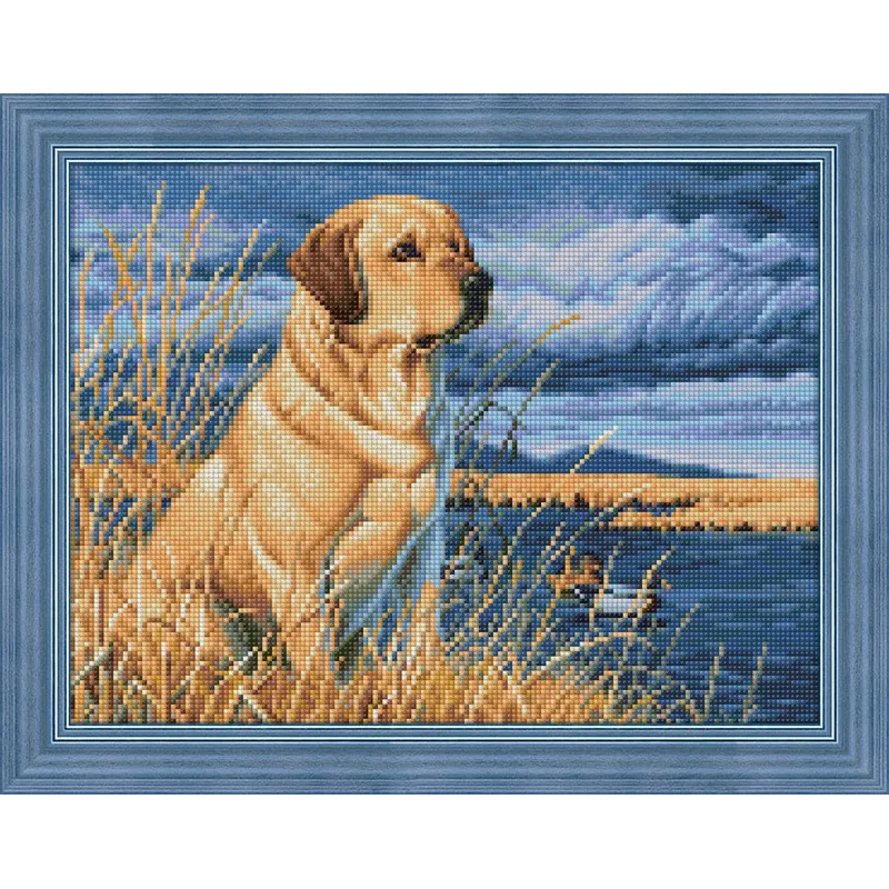 Labrador à la chasse 40x30 cm AZ-1681