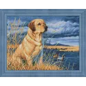 Labrador à la chasse 40x30 cm AZ-1681