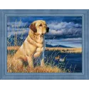 Labrador auf der Jagd 40x30 cm AZ-1681