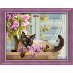 Femme Siamoise 40x30 cm AZ-1688