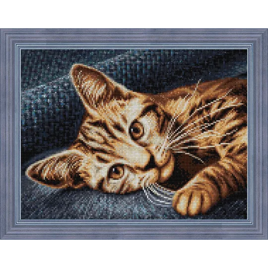 Katze Barsik 40x30 cm AZ-1700