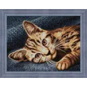 Katze Barsik 40x30 cm AZ-1700