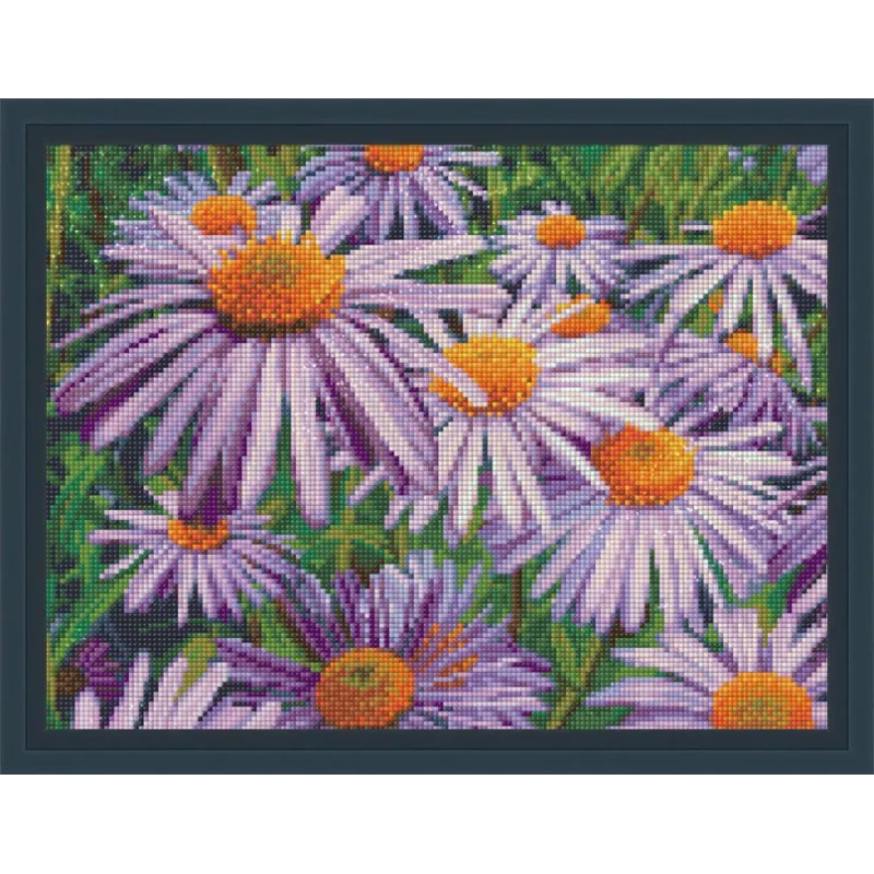 Camomilles pourpres 40x30 cm AZ-1702