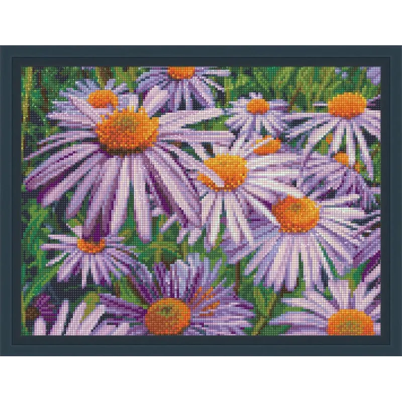 Violetinės ramunėlės 40x30 cm AZ-1702