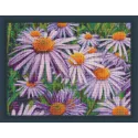 Camomille violette 40x30 cm AZ-1702