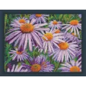 Violetinės ramunėlės 40x30 cm AZ-1702