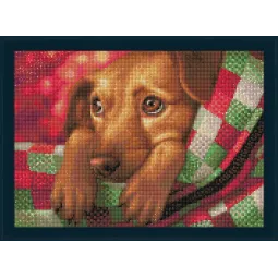 Dackel Welpe 40x30 cm AZ-1703