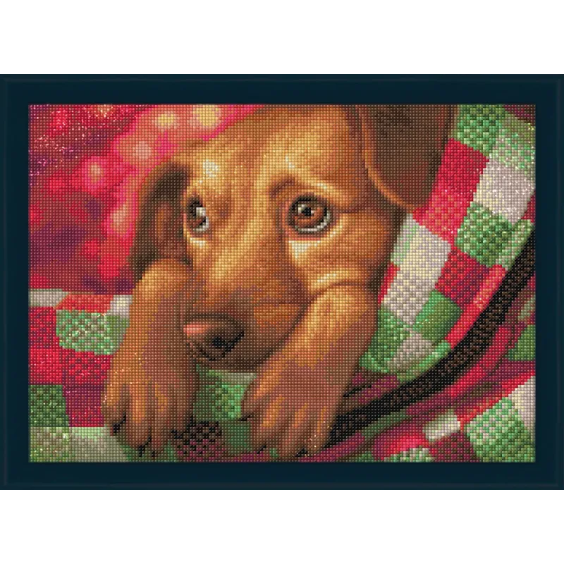 Dachshund Puppy  40x30 cm AZ-1703