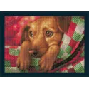 Dachshund Puppy  40x30 cm AZ-1703