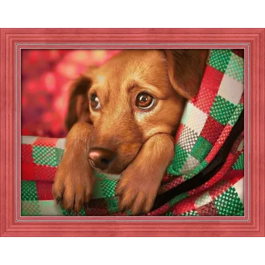 Dachshund Puppy  40x30 cm AZ-1703