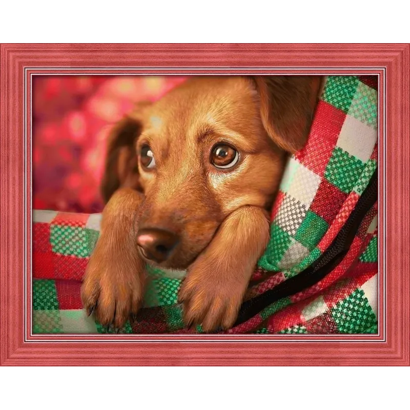 Dachshund Puppy  40x30 cm AZ-1703