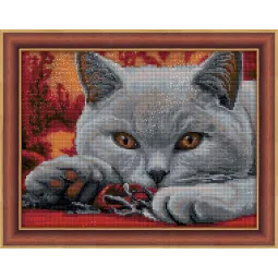 British Shorthair 40х30 cm AZ-1715
