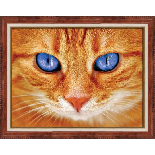 Blauäugige Katze 40x30 cm AZ-1716