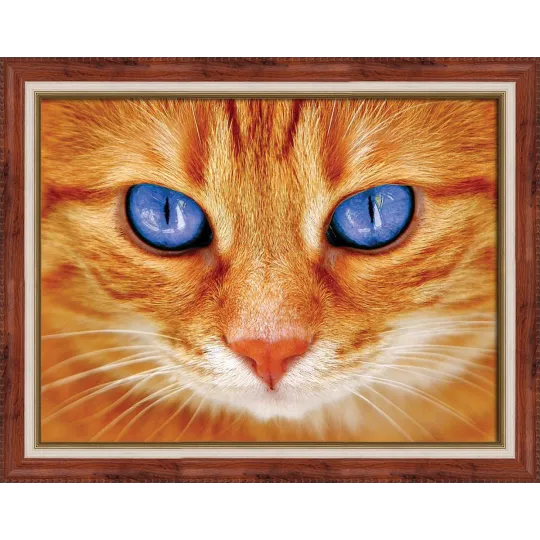 Blue-Eyed Cat 40х30 cm AZ-1716