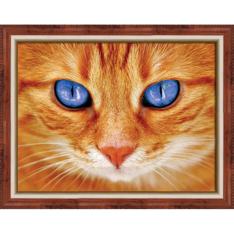 Blauäugige Katze 40x30 cm AZ-1716