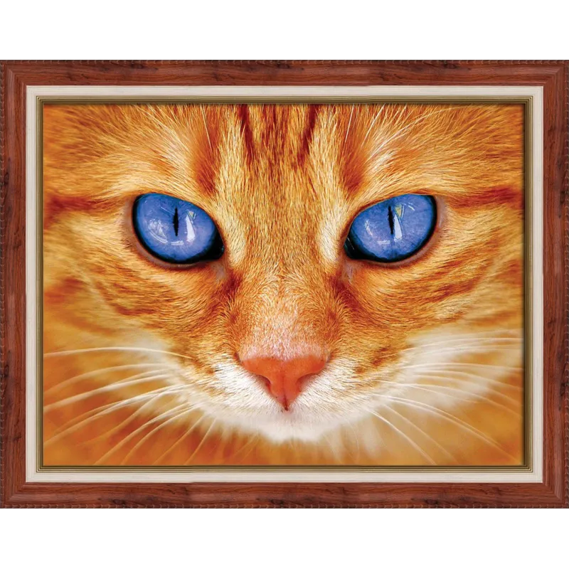 Mėlynaakė katė 40х30 cm AZ-1716