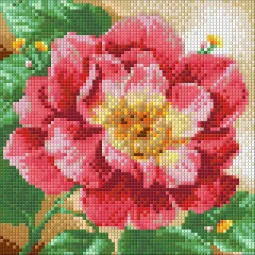 Deimantinis paveikslėlis Žydinčios bijūnai 20x20 cm AZ-1444