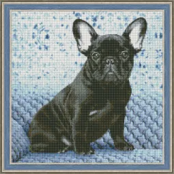 Deimantų tapybos rinkinys Bulldog 40х40 cm AZ-1459