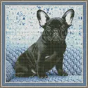 Kit de peinture diamant Bouledogue 40х40 cm AZ-1459