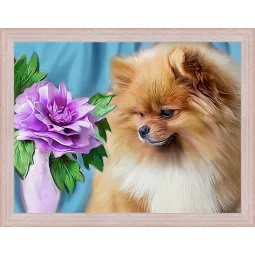 Diamond Painting Kit Pomeranijos špicas 40х30 cm AZ-1461