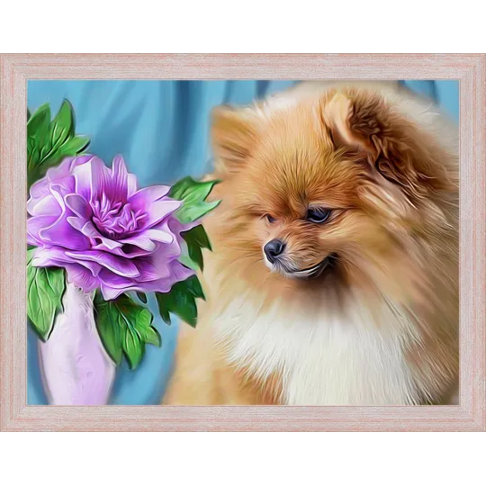 Diamond Painting Kit Pomeranian 40х30 cm AZ-1461